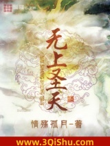 无上圣天小说