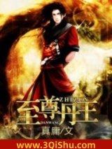 至尊丹王小说