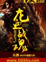 龙血战魂小说