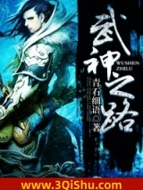 武神之路小说