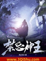 禁忌神王小说