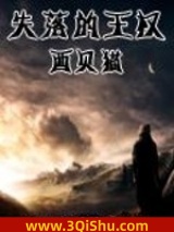 失落的王权小说