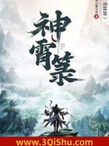 神霄箓小说