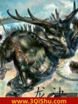 龙诀小说