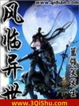 风临异世小说