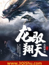 龙翔驭天小说