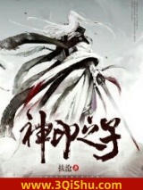 神印之子小说