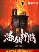 炼仙神鼎小说