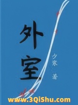 外室（作者：少寒）小说