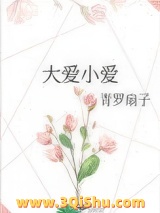 大爱小爱小说