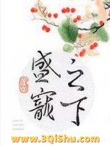 盛宠之下（甜文）小说
