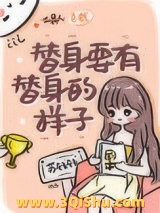 替身要有替身的样子小说