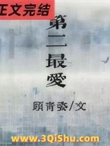 第二最爱小说