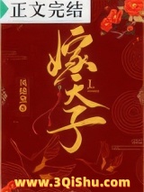 嫁天子小说