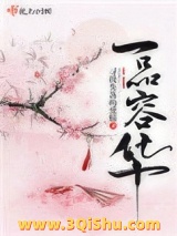 一品容华小说