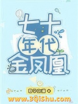 七十年代金凤凰小说
