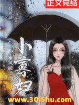 乘风破浪的小寡妇小说
