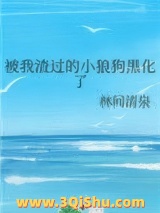 被我渣过的小狼狗黑化了小说