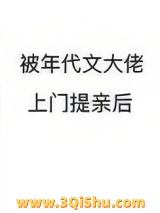 被年代文大佬上门提亲后小说