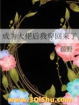 成为大佬后我穿回来了小说