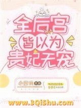 全后宫皆以为贵妃无宠小说