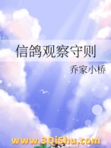 信鸽观察守则小说
