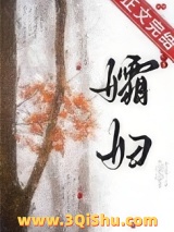 孀妇小说