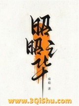 昭昭之华小说