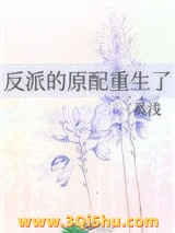 反派的原配重生了小说