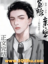 危险亲密小说