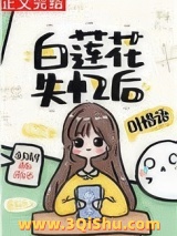 白莲花失忆后小说