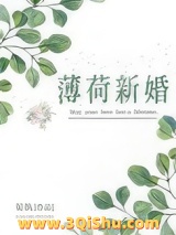 薄荷新婚小说