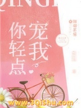 你轻点宠我小说