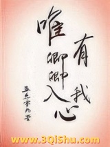 唯有卿卿入我心小说