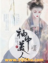 袖中美人小说