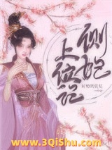 侧妃上位记小说