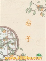 窃子小说