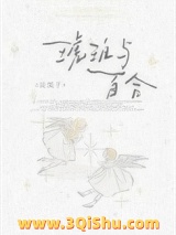 琥珀与百合小说
