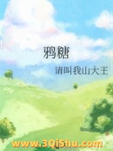 鸦糖小说
