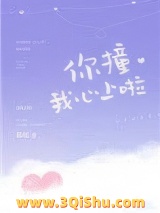 你撞我心上啦小说