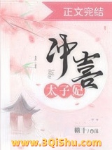 冲喜太子妃小说