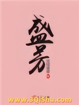盛芳小说