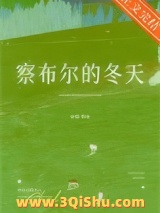 察布尔的冬天小说