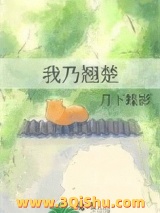 我乃翘楚小说