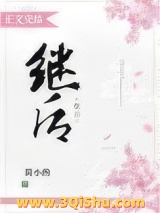继后小说
