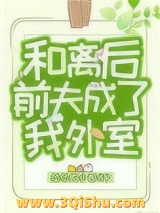 和离后前夫成了我外室小说