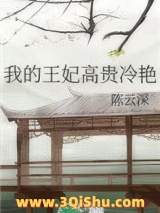 我的王妃高贵冷艳小说