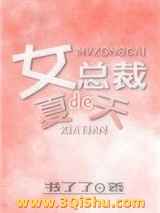 女总裁的夏天小说