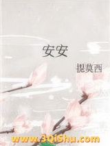 安安小说