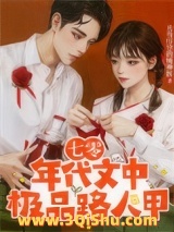 七零年代文中极品路人甲小说